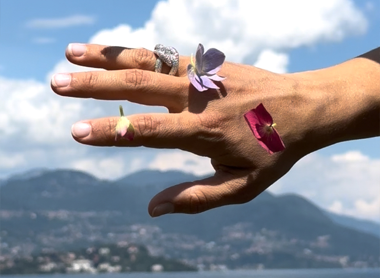 Paulon Gioielleria anelli diamanti lago maggiore